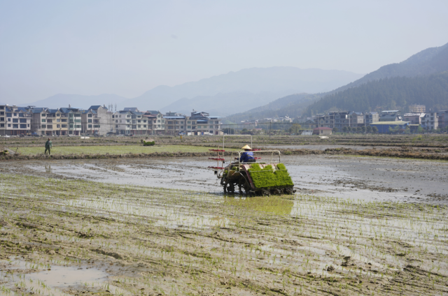 南平浦城：万象“耕”新农机忙 已完成粮食播种9.54万亩