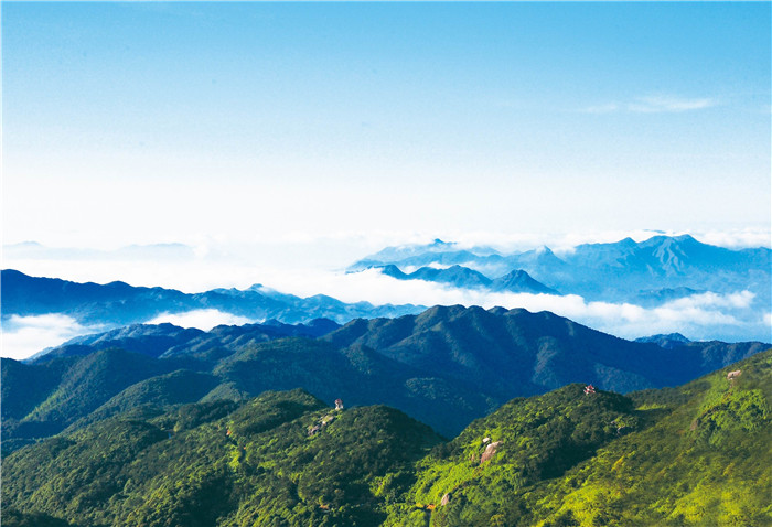 戴云山国家级自然保护区（摄影　黄谷莹）.jpg