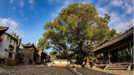 松溪县梅口埠旅游景点图片