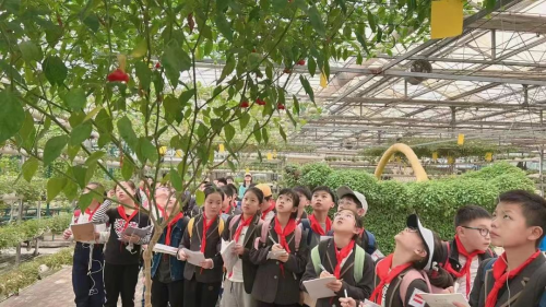 扬州西江生态园门票图片